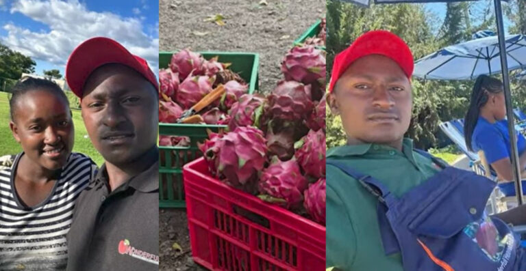 Young Laikipia couple making millions from farming world most expensive fruit