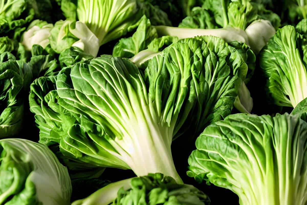 Jane Kimari: Kiambu farmer raking fortune from Kenya’s 'most profitable' cabbage variety