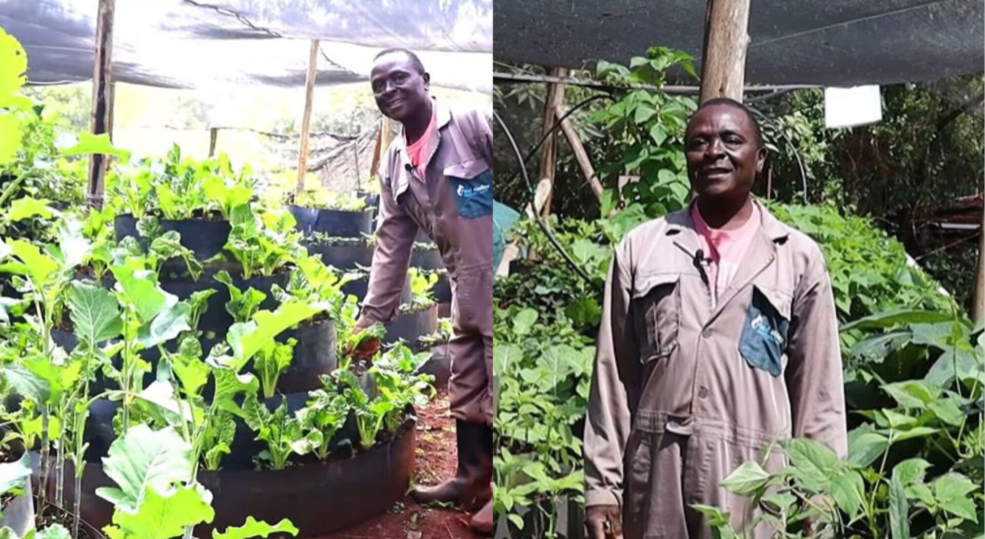 Josphat Wesonye: I make Sh. 100,000 per week from multistorey garden farming