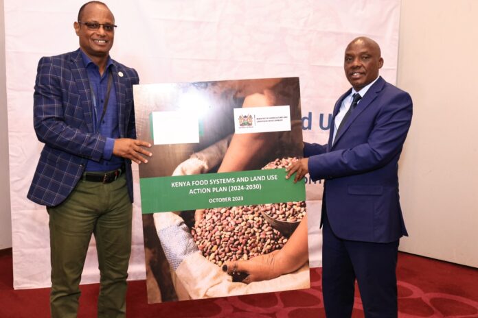 World Soil Day