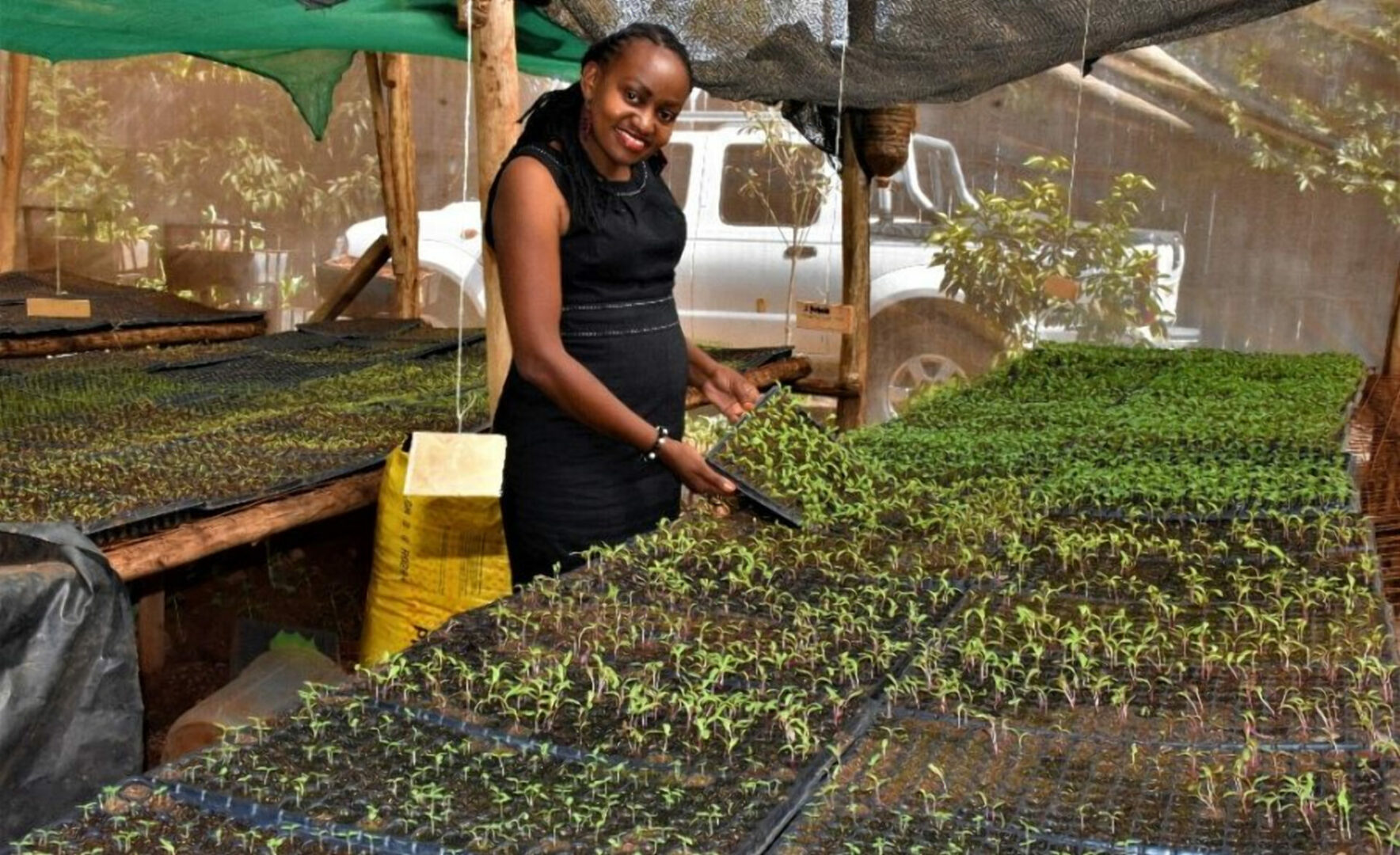 I started my Shamba business with Sh. 100,000; didn't make any money in first season