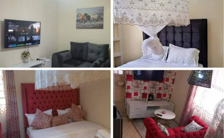 Kithendu: What it takes to be a successful entrepreneur in the BOA business