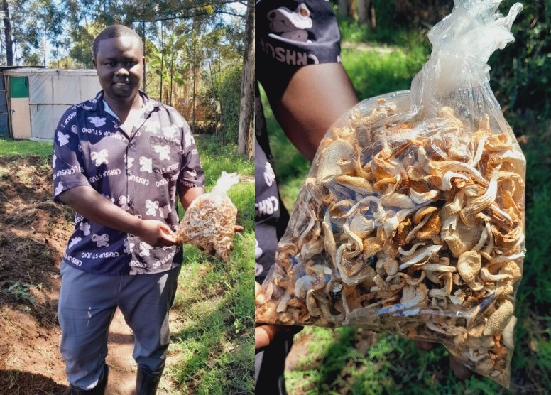 Law graduate discovers hidden wealth in Oyster farming