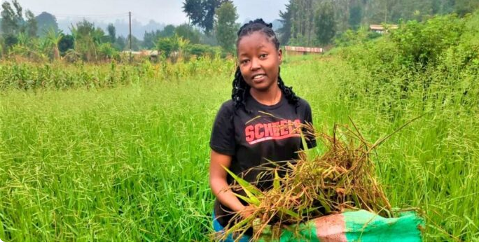 Young farmer making fortune from farming grass says the business is promising