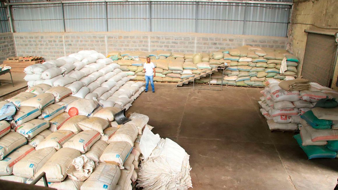 Anthony Wambua: Man finds fortune in cereal business trading 1,000 tonnes per week