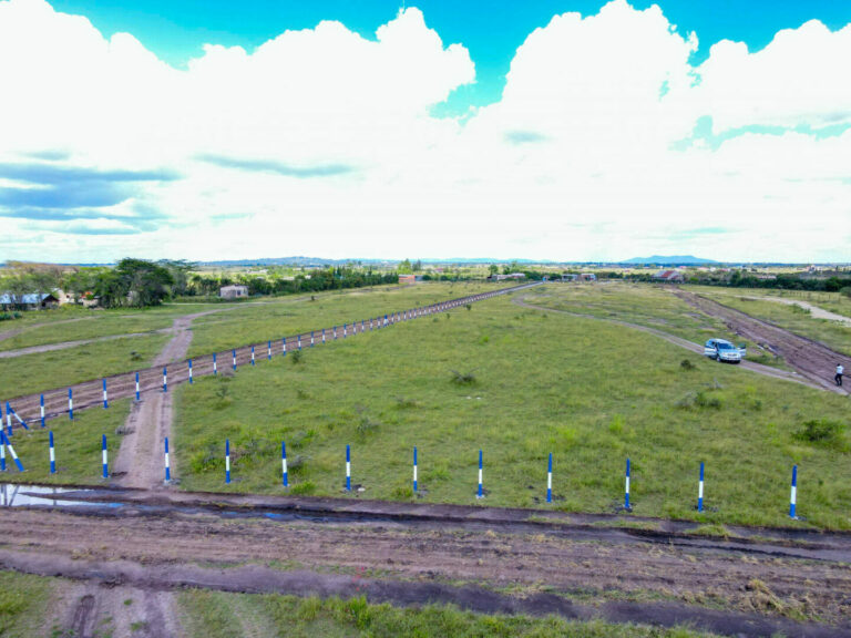 How to easily own land in Kenya in 2024