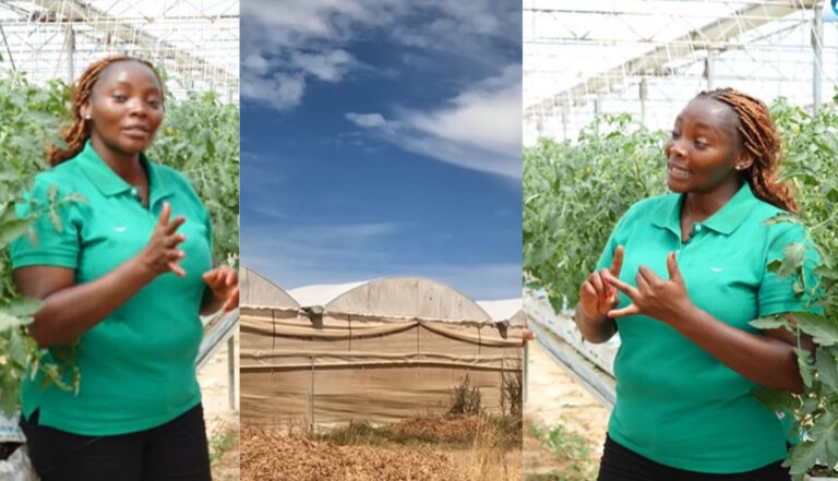 Scientist with large scale hydroponics farm in Australia, recruiting Kenyan Agriculture students