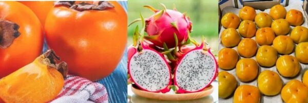 List of all rare fruits in Kenya earning farmers millions