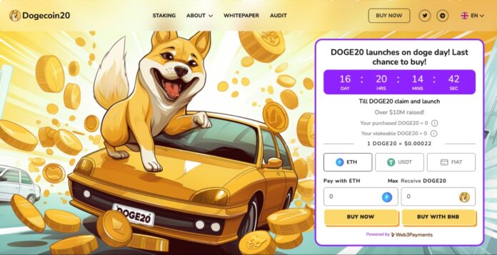 Dogecoin20