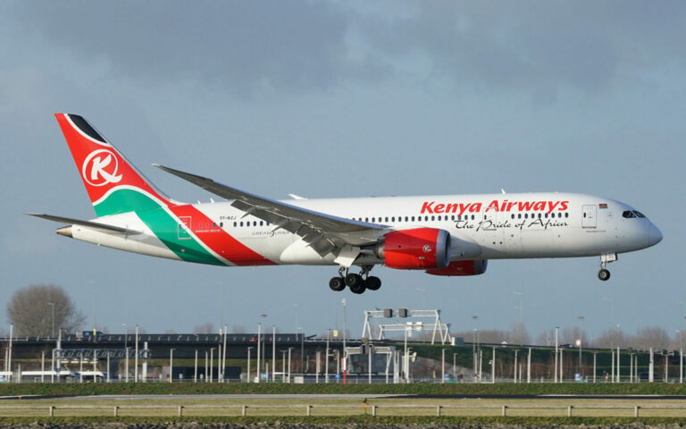 See list of top African airlines as per fleet size in 2024
