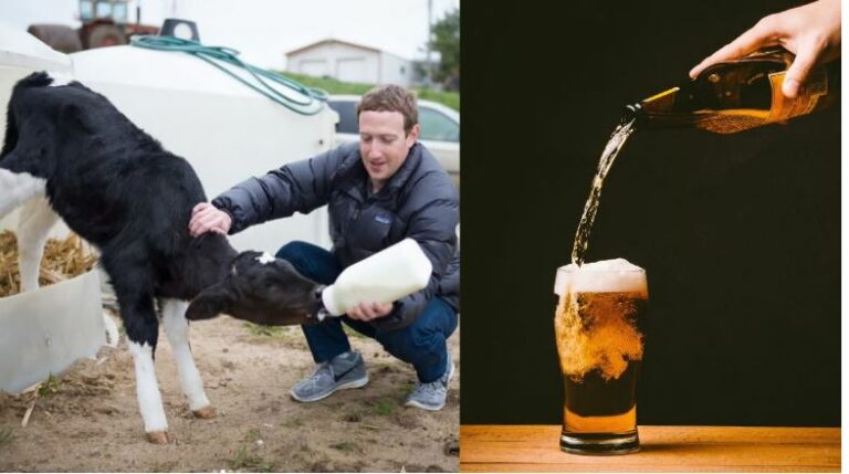 Why Mark Zuckerberg Feeds His Cattle Beer And Macadamia Nuts