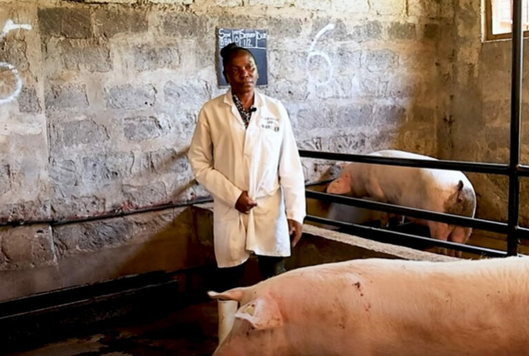Violet Akinyi: We started our 500 piggery unit to sustain our church ministry works