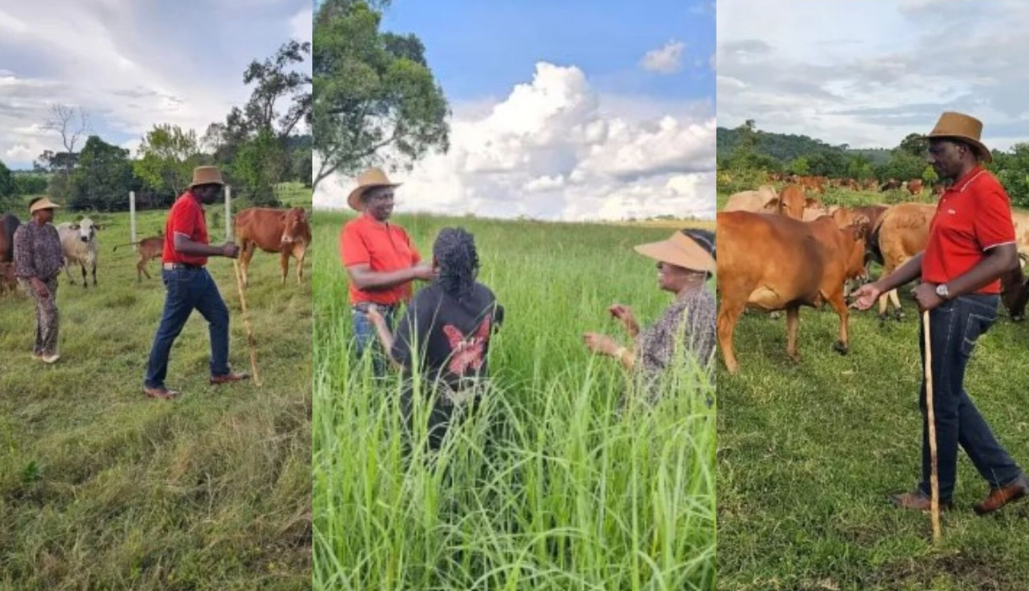 President Ruto, first lady Rachel inspect abundant Narok farm after heavy rains