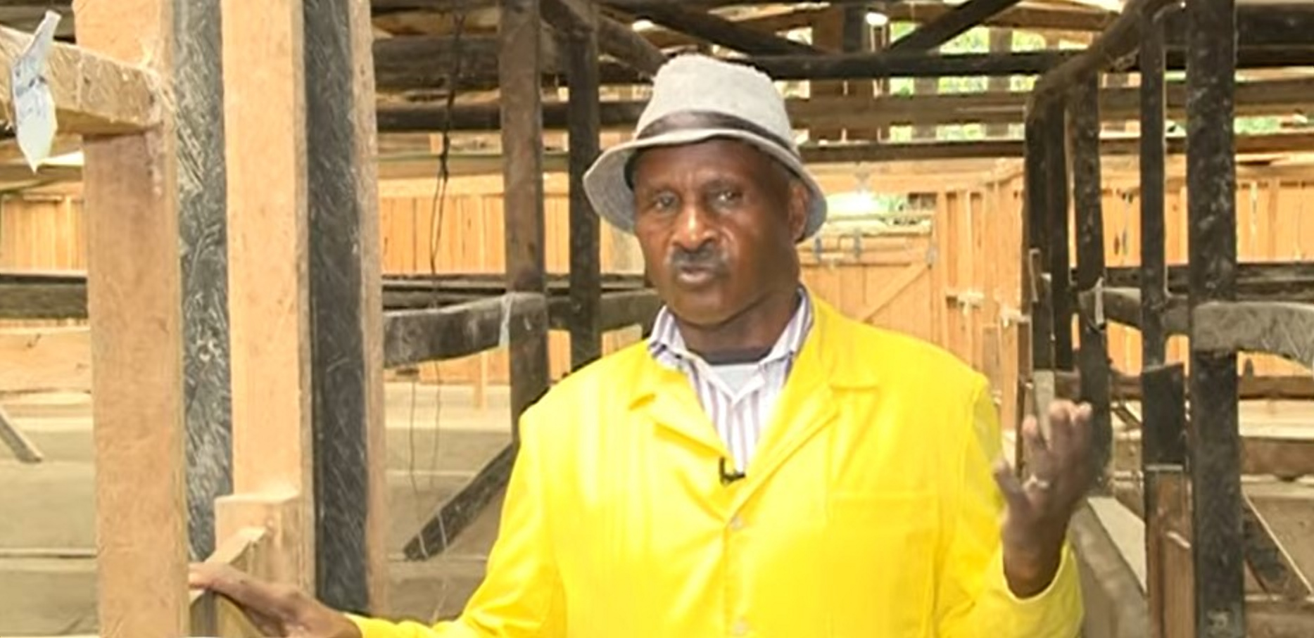 Samson Mbae: Why pig farming is more profitable compared to dairy farming