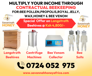 kerosene business plan in kenya