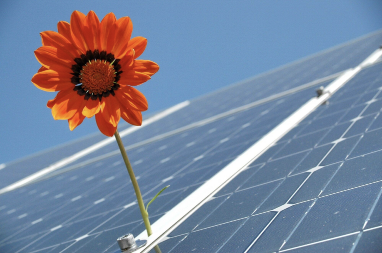 Discover How a Solar Source Can Enhance Your Property’s Value Today