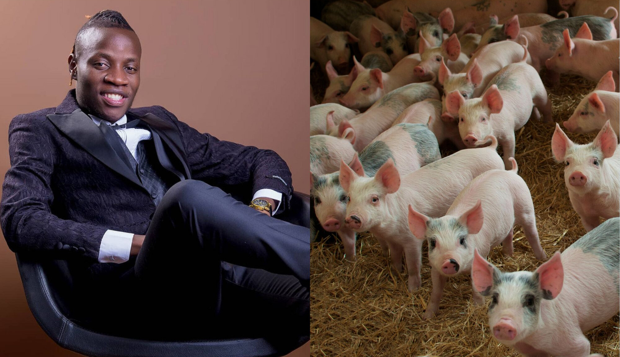 Guardian Angel: Why I chose to do pig farming despite successful music career