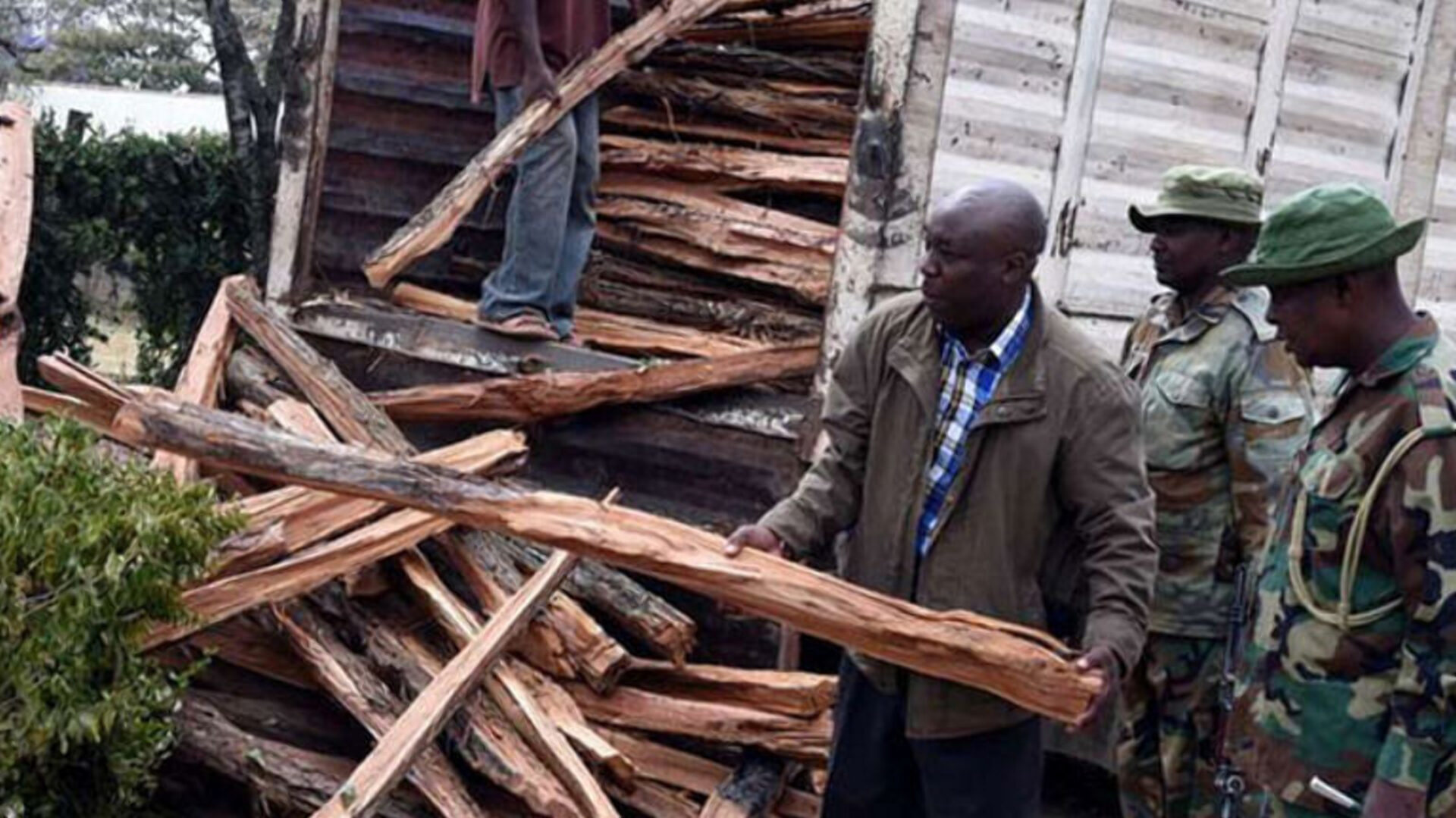 Kenya Forest Service hikes timber permit fees by 1179% to Sh. 25,570