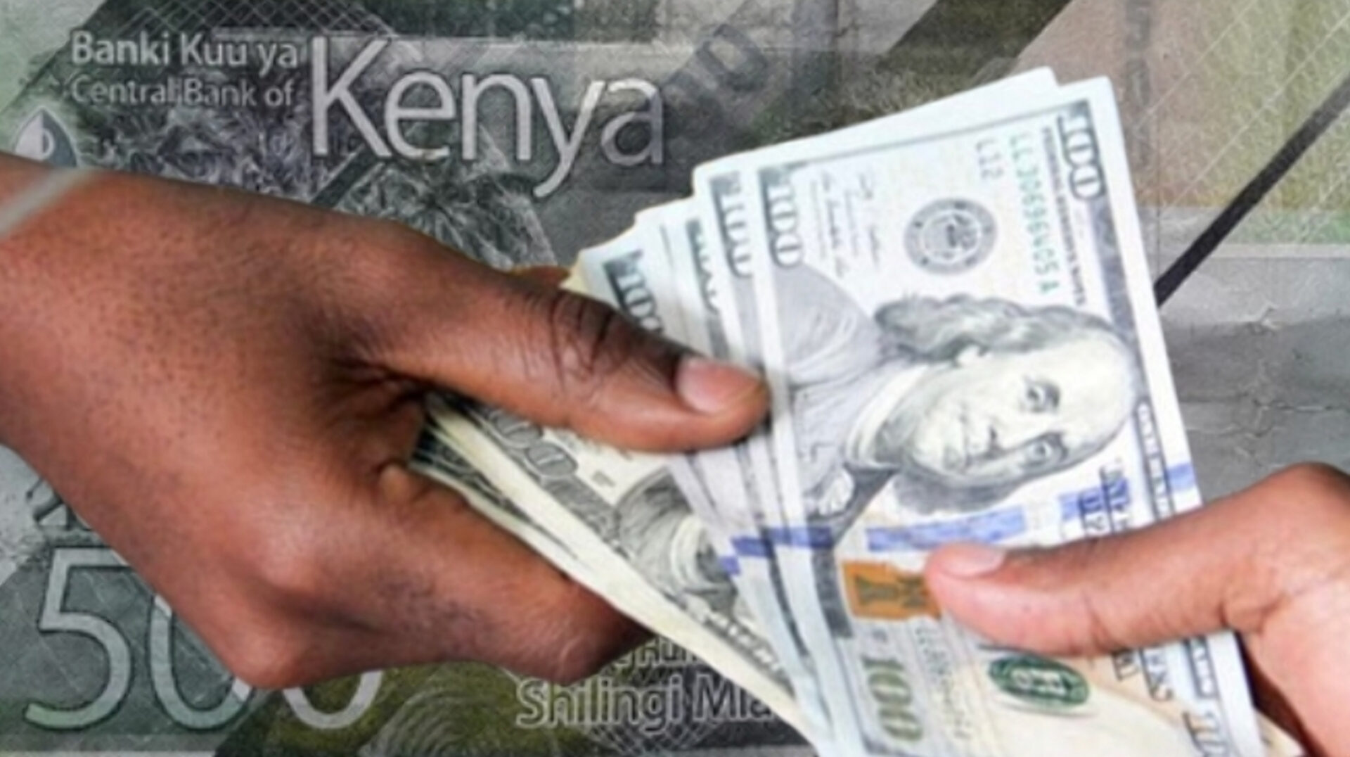 Kenya shilling on fresh losing streak against US dollar, major world currencies