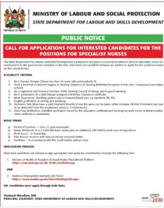 Qualifications, application process for Sh. 140,000 government jobs abroad