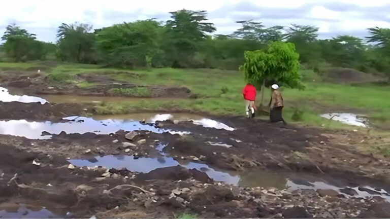 Simple solutions to assist farmers recover from flood effects