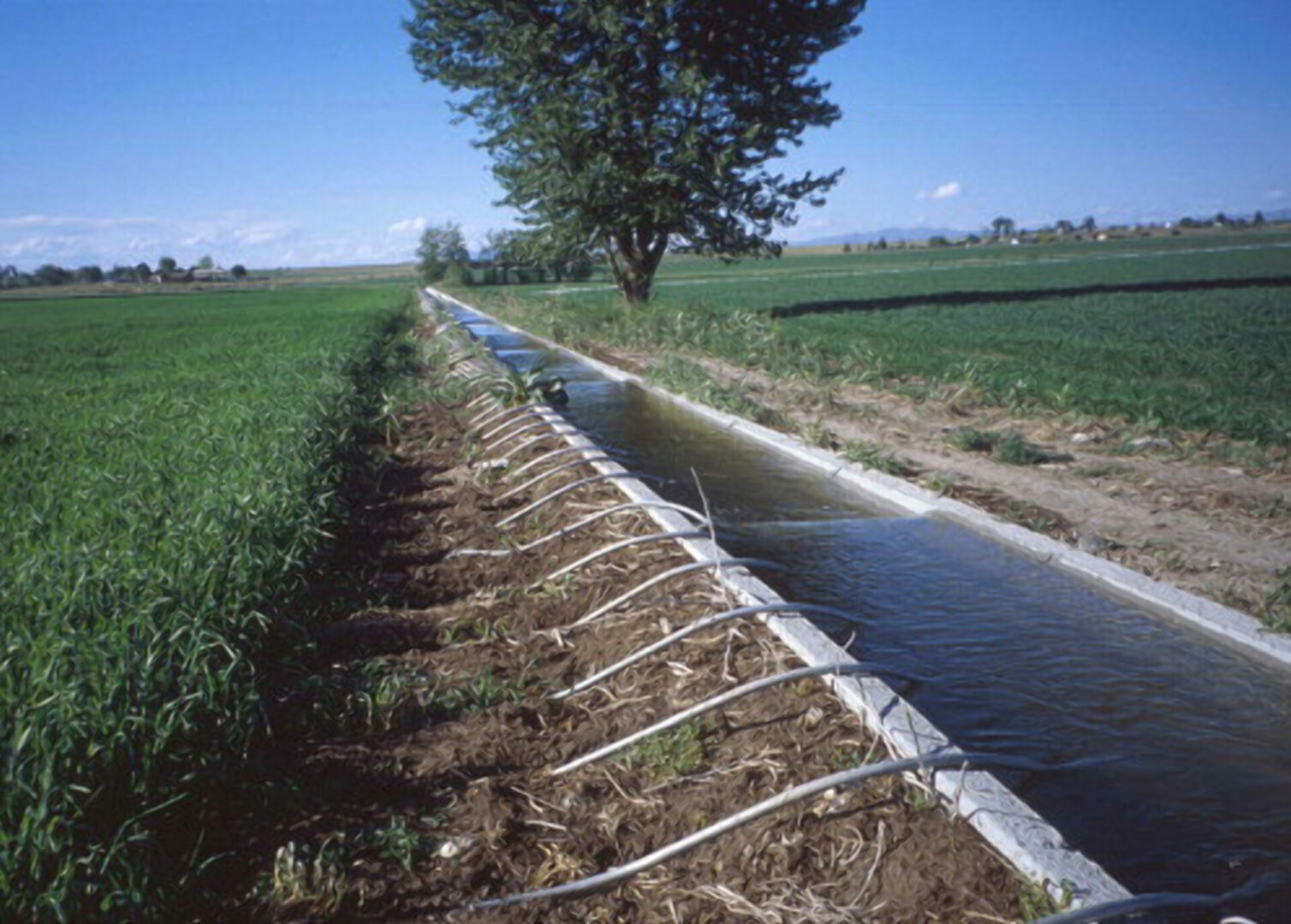 Inside State's plan to irrigation sector, produce more food, create jobs