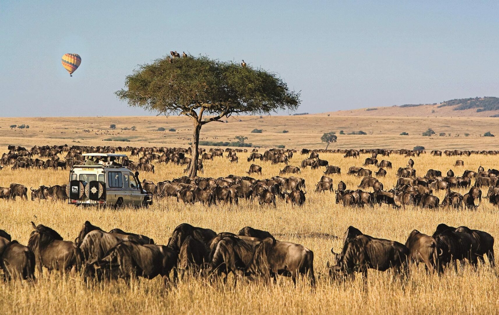 Maasai Mara hikes gate fees from Sh. 9,200 to Sh. 26,300