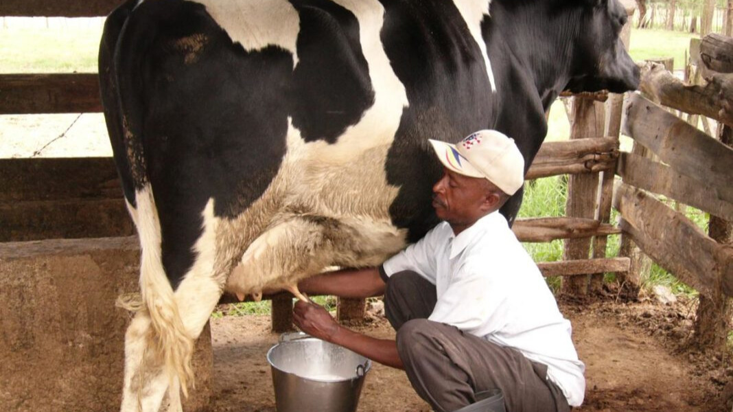 Measures by Ministry, stakeholders to assist farmers with milk costs