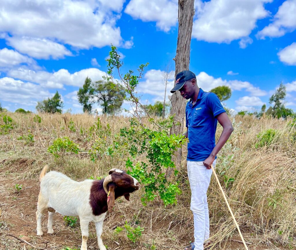 Lawyer transits from in-house employment to breeding most superior goat breeds