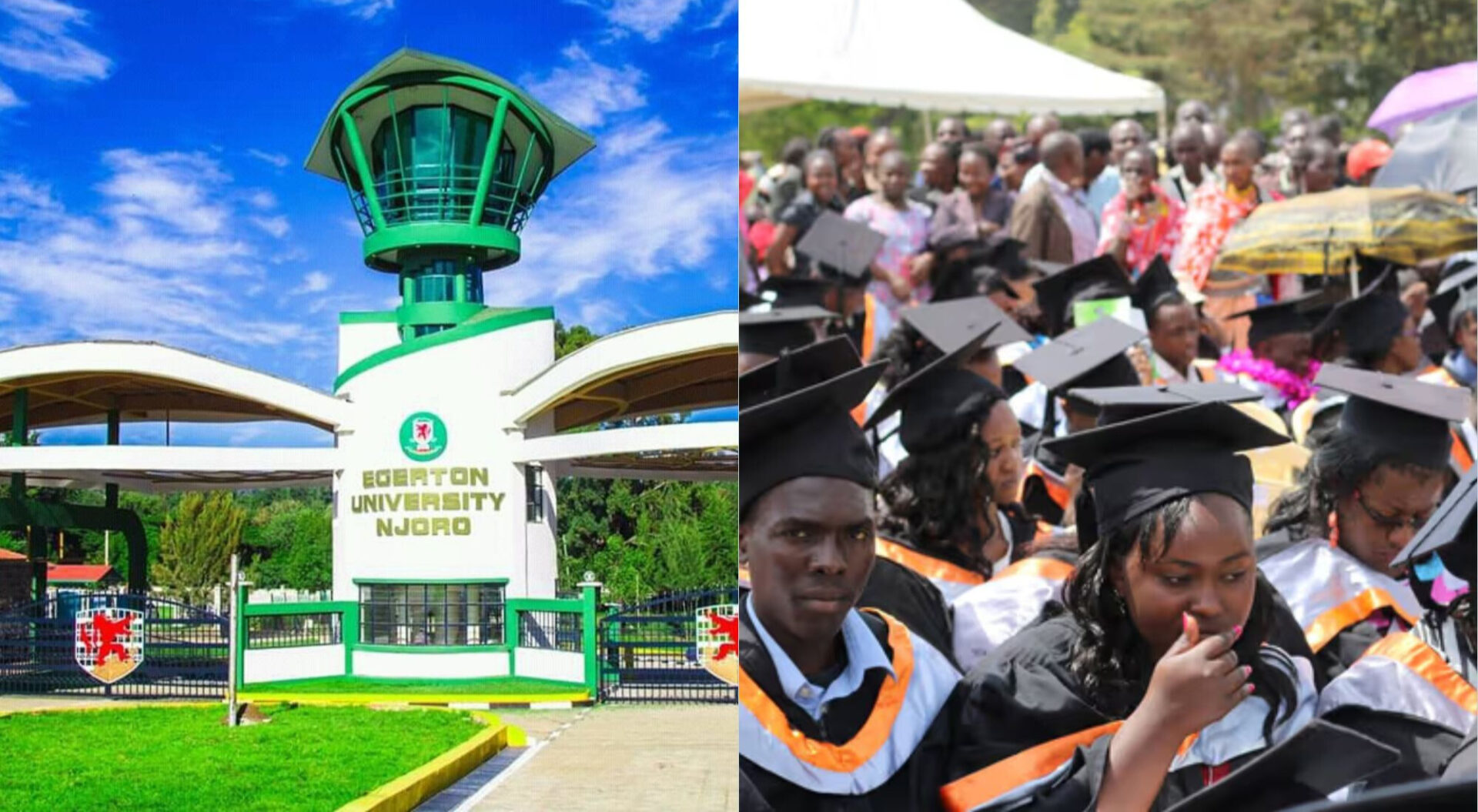 Egerton University to pay classes, retrain graduates who took unlicensed courses