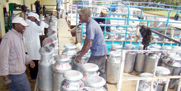 Trick Kiambu farmer making up to Sh10 million uses to boost milk production