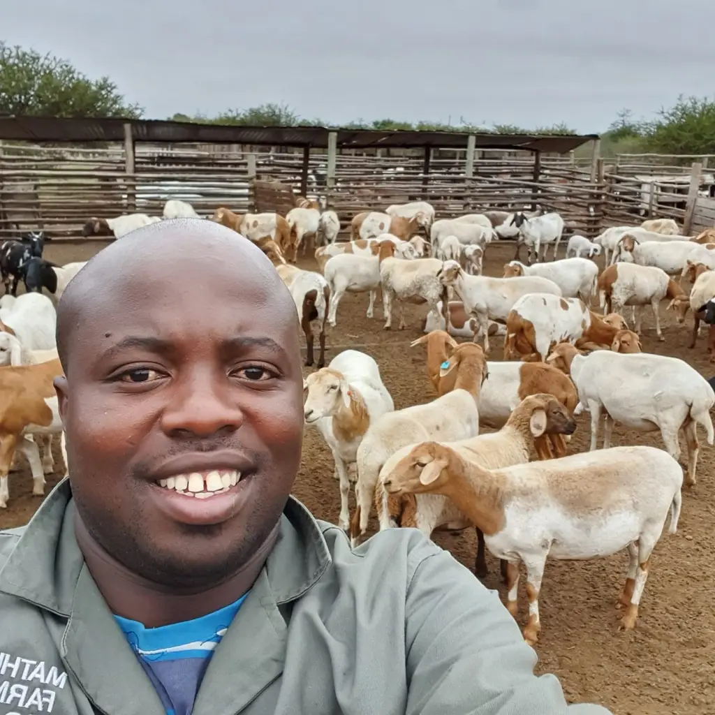 Emmanuel Mudau: Tricks that made me a successful goat farmer