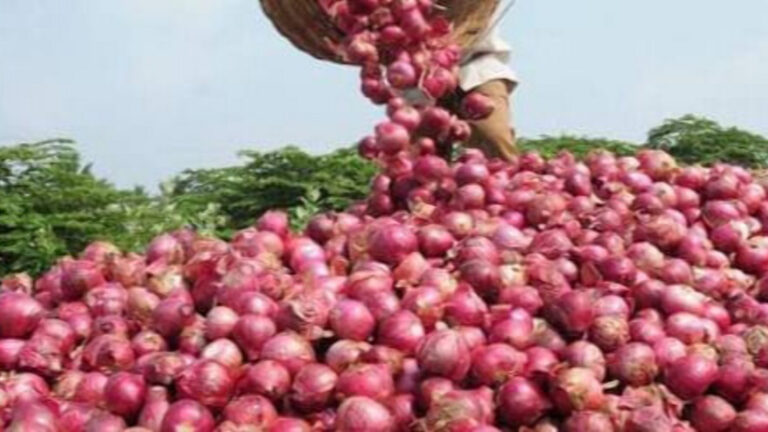 Emma Onyango onion farming