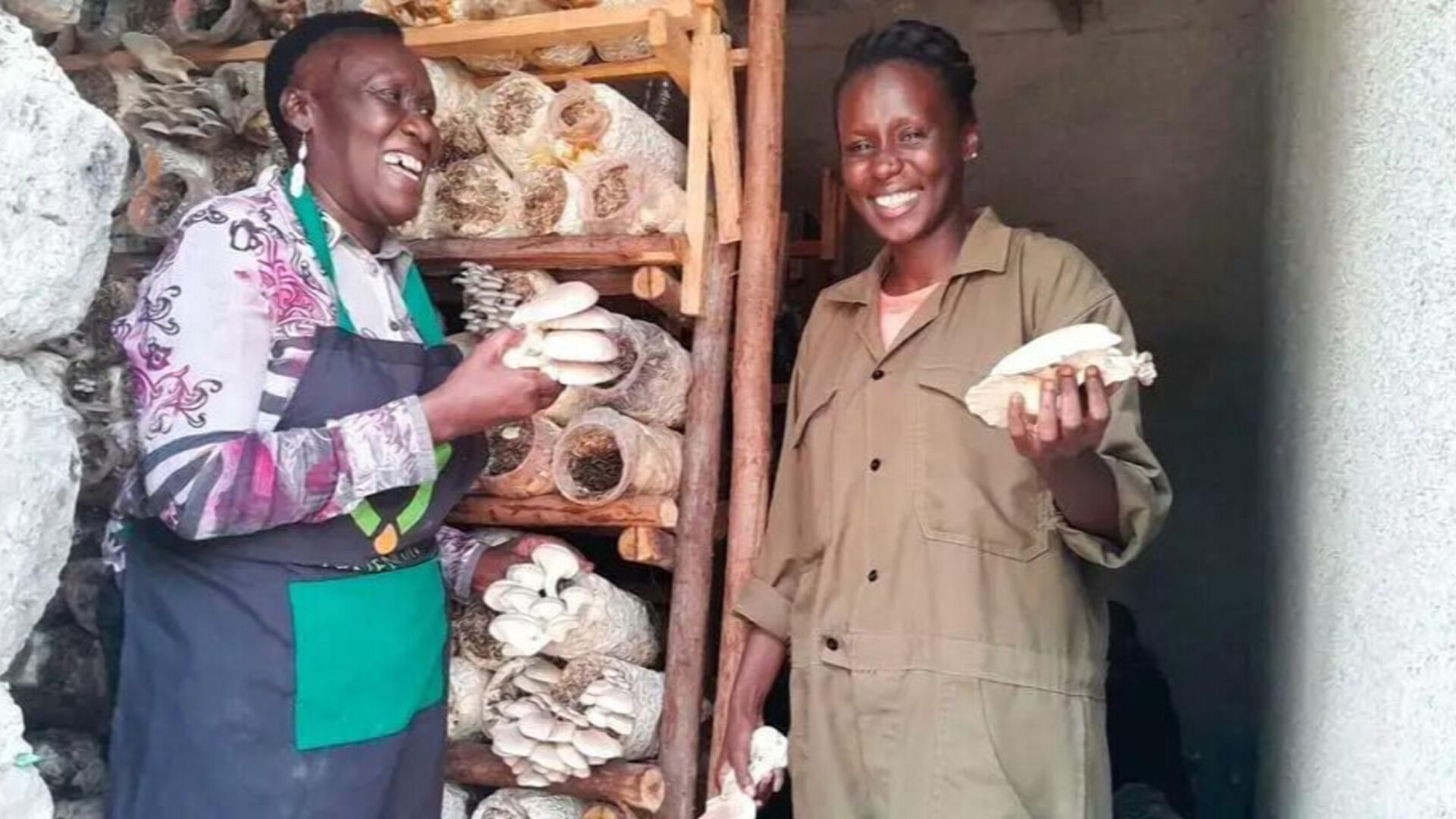 Verah Mburugu: How a Sh. 900,000 grant saved my mushroom farm in Kiserian