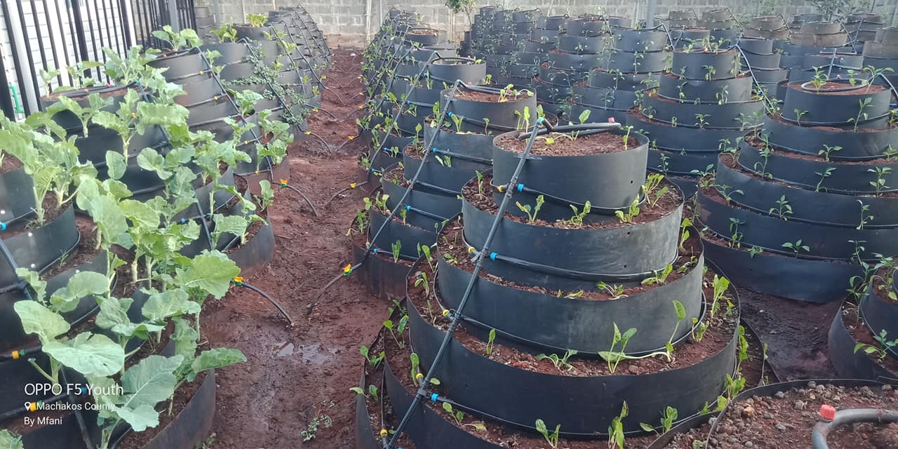 Dam liners: New technology helping farmers earn more on a small space