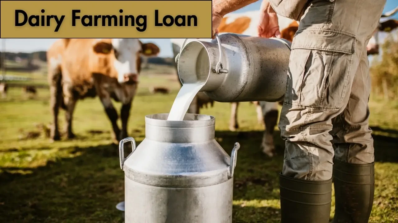 How to subscribe to Co-op bank dairy loan