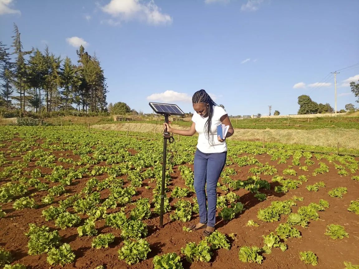 AI tools farmers can use to improve yields