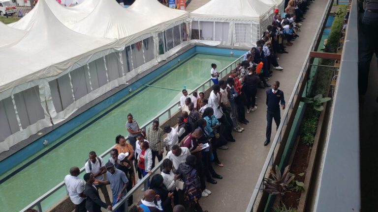 ICT authority announces mass internship opportunities for graduates