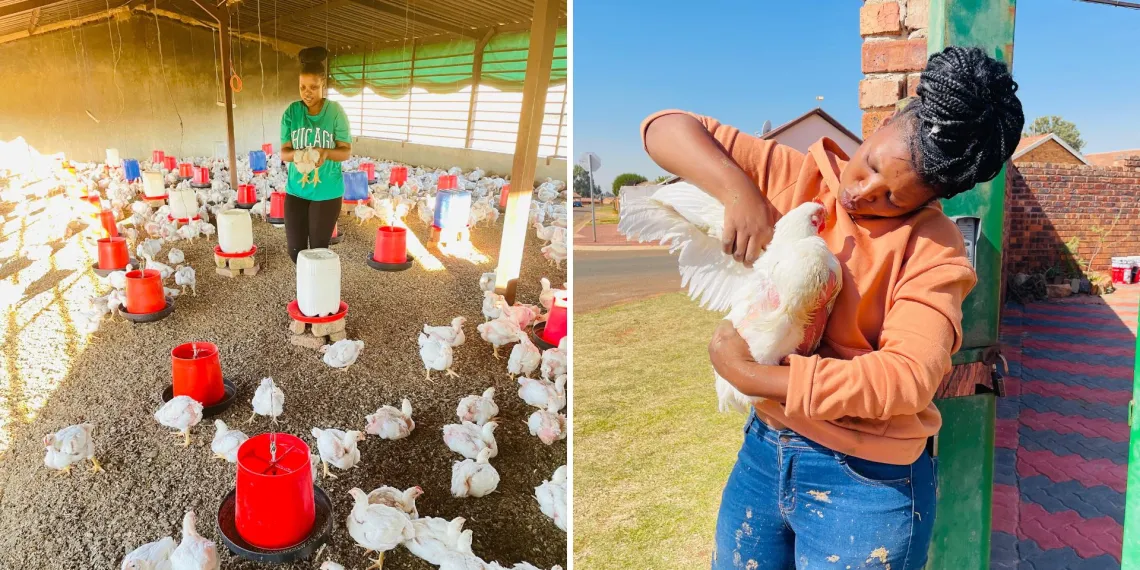 Raking millions from poultry farming; how South African farmers are doing it