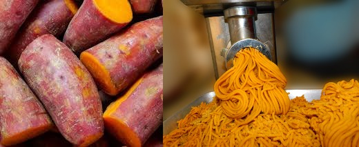 Machakos farmer makes sweet cash from orange-fleshed sweet potato