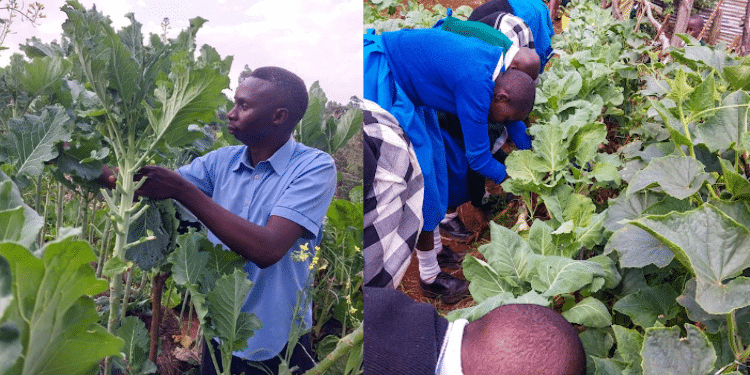 Bomet teacher Dominic Orina shortlisted for Sh. 129 million Global Teacher Award