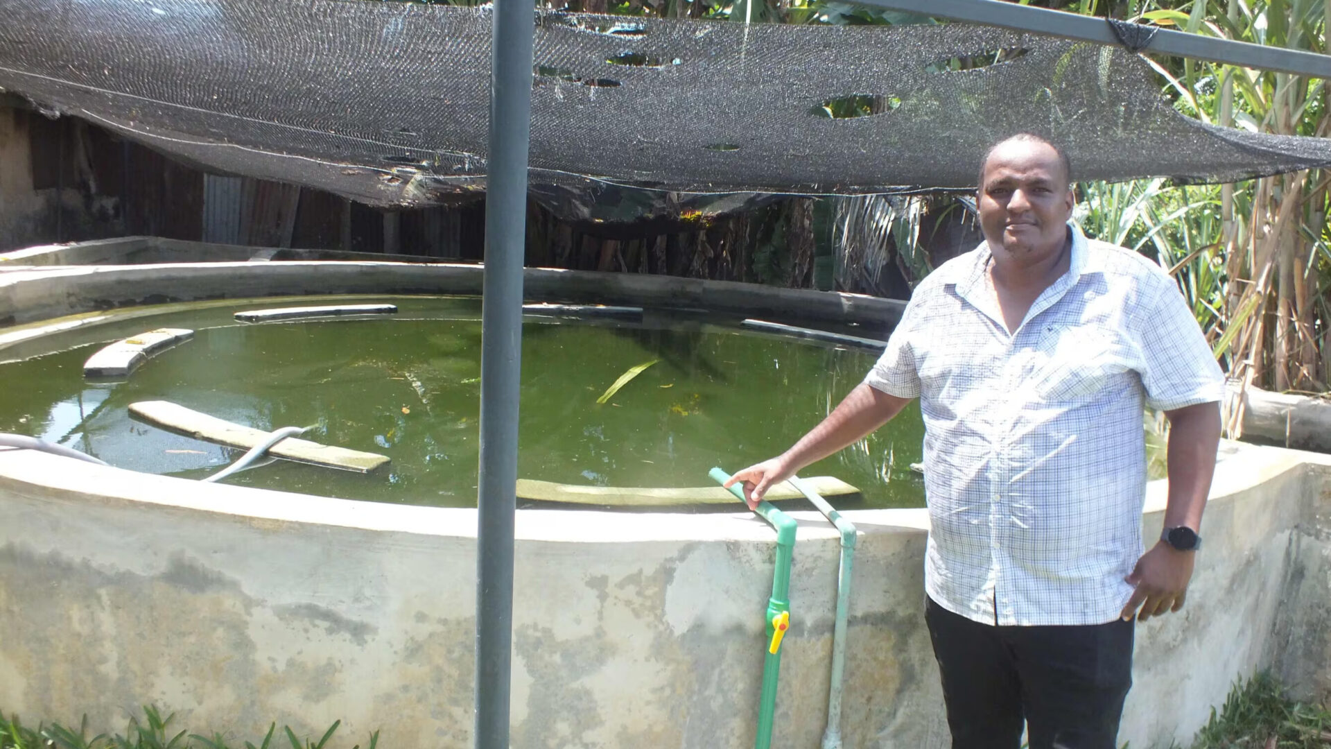 How USIU graduate started fish farm from insurance claim settlements