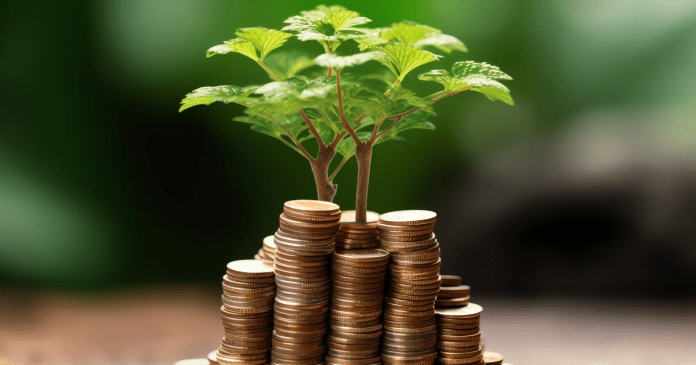 Business growth with a growing tree on a coin. Showing financial developments.