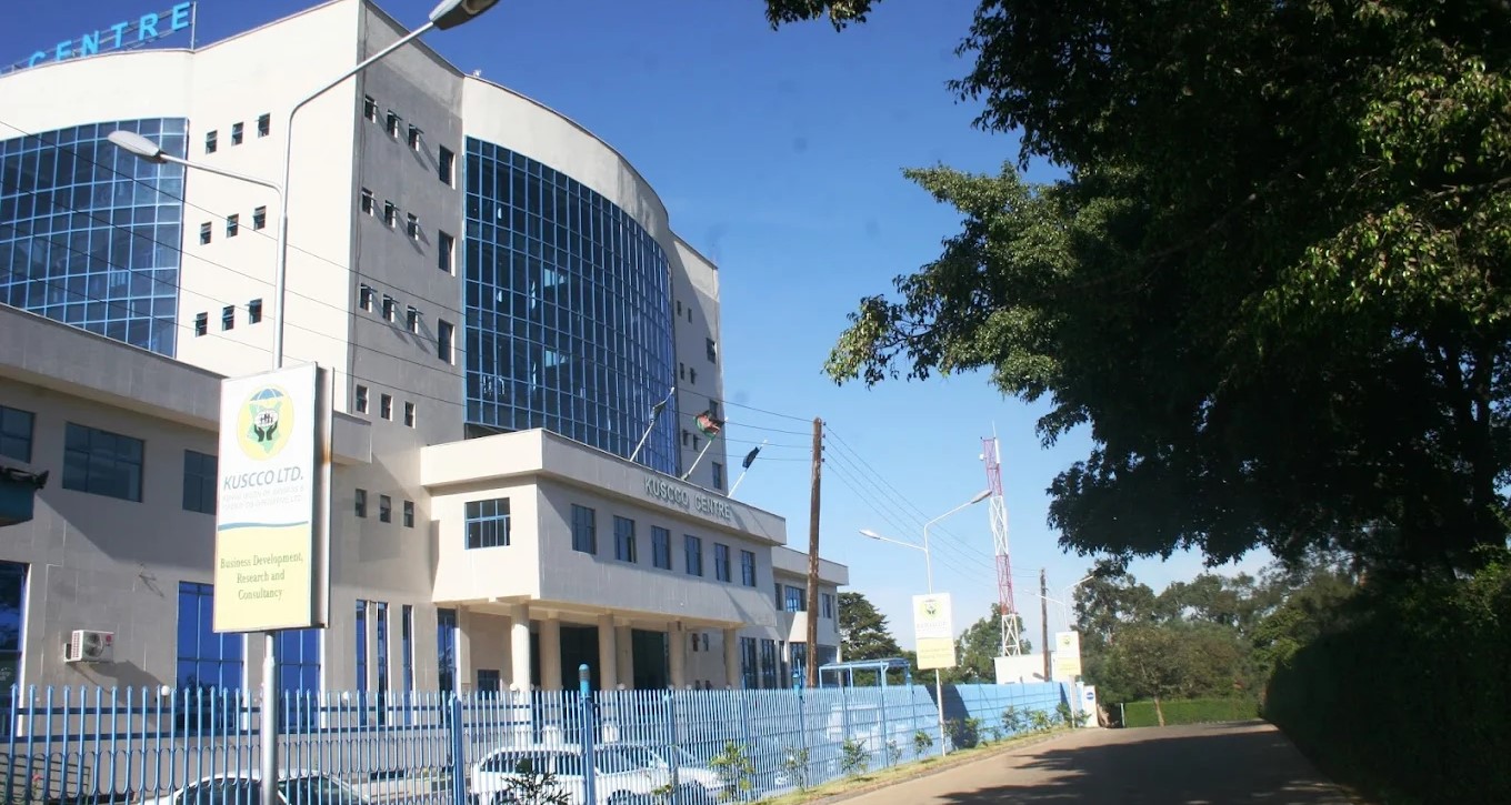 Kuscco lists 60 plots, houses, apartments, commercial buildings for auction