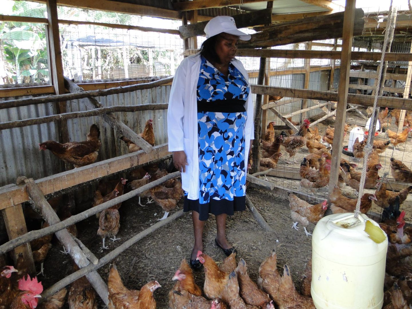 Winnie Cheruiyot: How I made my first Sh350,000 from chickens