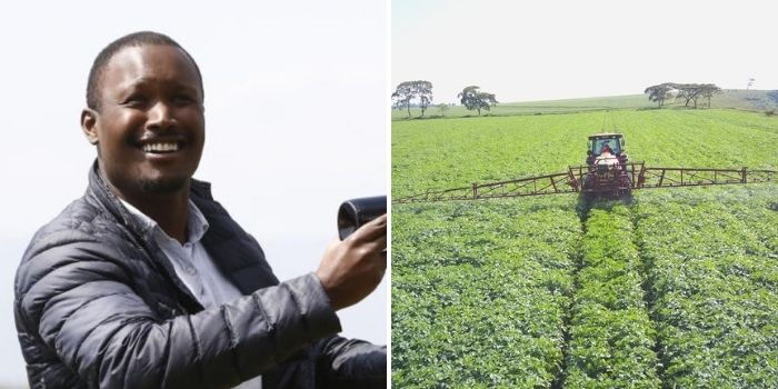 Kimoi Moi: Inside largest potato company in Nakuru controlled by Moi’s grandson