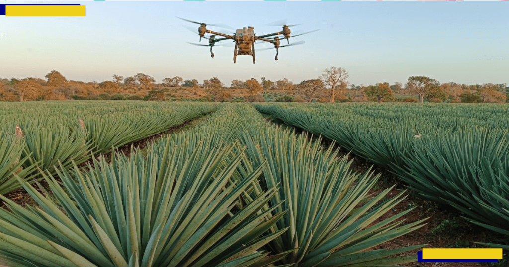 How Kenyan farmers are using drones to save costs, get higher yields 1 How Kenyan farmers are using drones to save costs, get higher yields