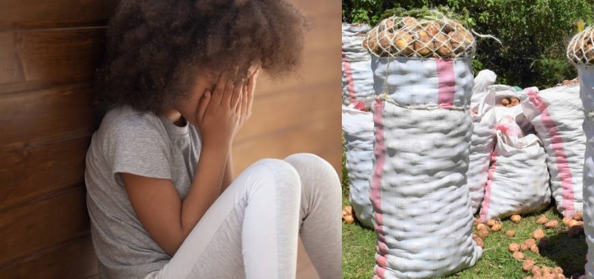 I invested Sh76k in potato farming only to harvest 22 bags; where did I go wrong?