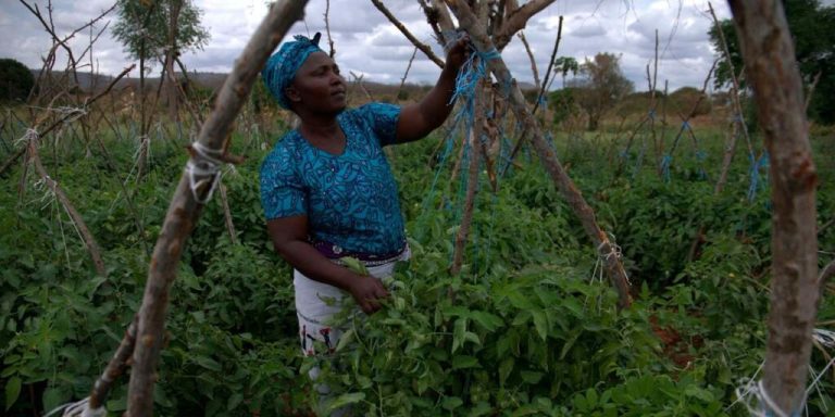 Jennifer Maingi: How I turned Sh10,000 chama loan into Sh250,000