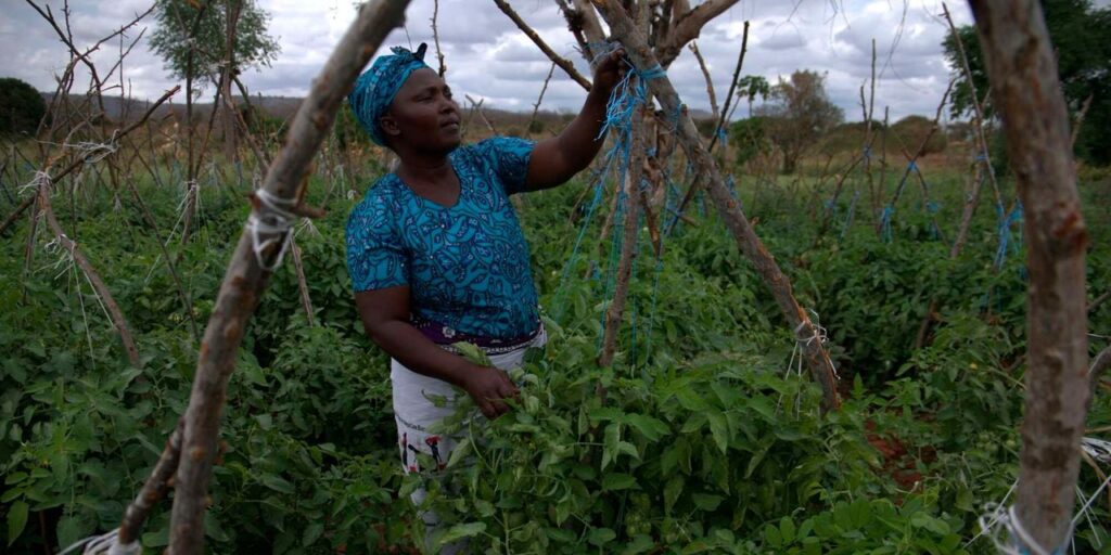 Jennifer Maingi: How I turned Sh10,000 chama loan into Sh250,000